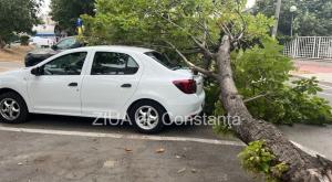 Județul Harghita, măturat de furtuni. Mii de locuințe au rămas fără curent electric