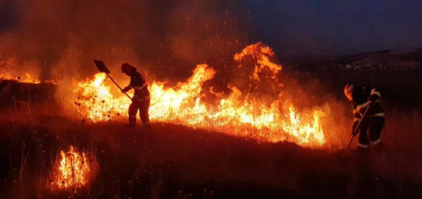 Foto cu rol ilustrativ. Sursă foto: ISU Tulcea