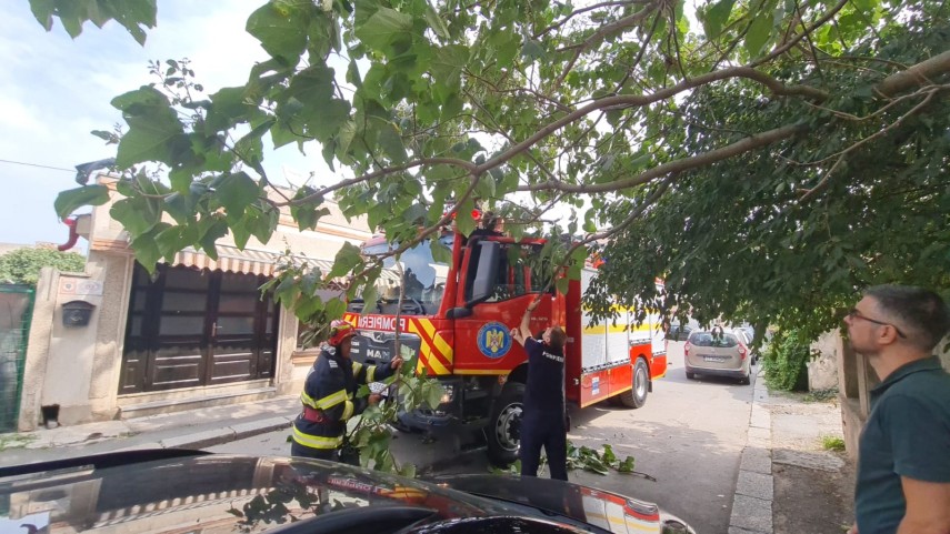 Incendiul de pe Ion Theodorescu Valahu. Pompierii luptându-se cu crengile netoaletate ale copacilor din zonă, care blocau accesul autospecialei