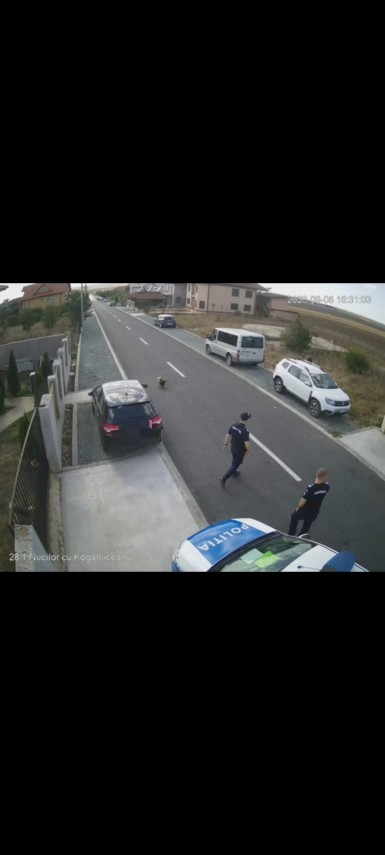 alerta in vama veche soferi sub influenta alcoolului refuza cooperarea cu autoritatile foto 827345