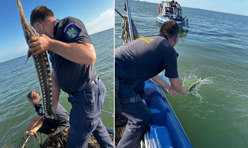 Sursă foto: Garda de Coastă