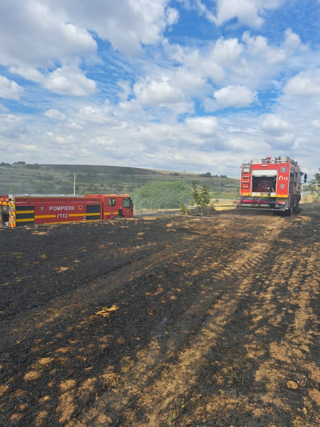  Parjoleste sudul tarii! La Giurgiu au ars aproape 15 hectare si o portiune de cale ferata