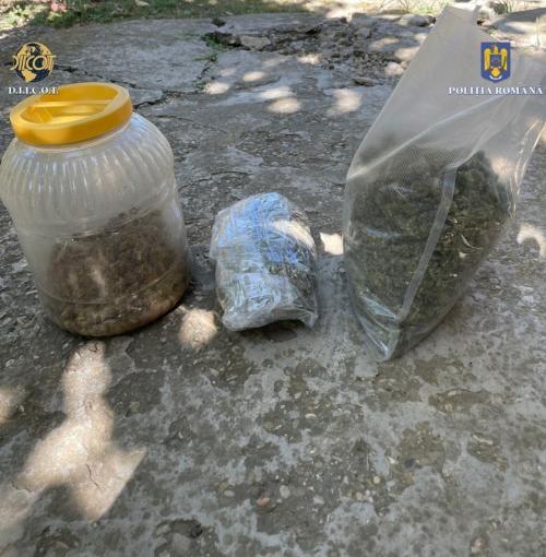 Buzău Percheziții la o persoană bănuită de trafic de droguri de risc (FOTO)