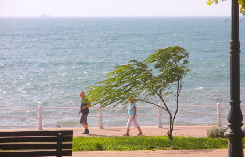 Sursă foto: Primăria Constanța