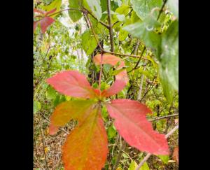 #ConstanțaEsteBine 10.10.2023. Zi de portal energetic. Energia se intensifică