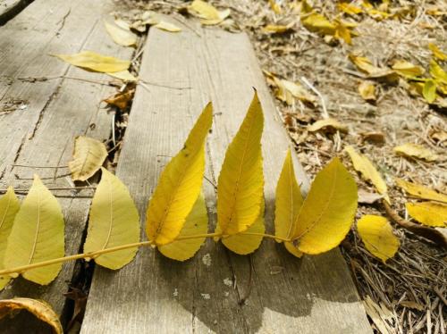 #ConstanțaEsteBine13 octombrie 2023. Zi cu energie amestecată