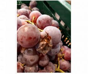 Amenzi la  Kaufland ANPC a amendat cu peste 1,7 milioane de lei, zeci de magazine din toată țara, într-o singură zi (FOTO) 