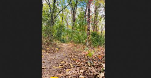 #ConstanțaEsteBine 17 octombrie 2023 O altă zi de toamnă frumoasă și rece, în același timp