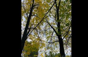 #ConstanțaEsteBine 18.10.2023 Bună dimineața, tuturor! Ne trezim? Deschidem ochii?