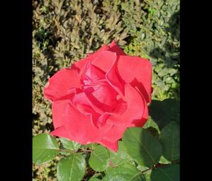 #ConstanțaEsteBine 22 octombrie 2023. Duminică de toamnă, cu portal energetic de azi spre mâine (22-23.10.2023)