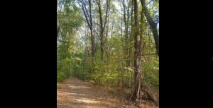 #ConstanțaEsteBine 23.10.2023 A doua zi din portalul de energie al lunii octombrie