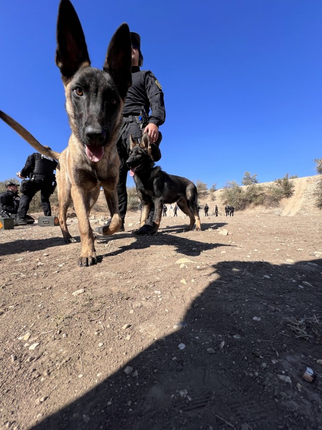 luptatorii din cadrul serviciului pentru actiuni speciale al ipj constanta au participat la un stagiu luptatorii din cadrul serviciului pentru actiuni speciale al ipj constanta au participat la un stagiu