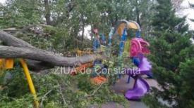 Un copac a cazut peste un loc de joaca, in centrul Constantei (FOTO+VIDEO)    