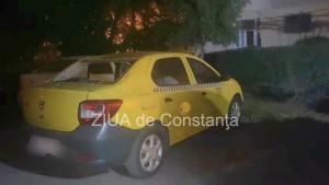 Un arbore prabusit peste o masina, in Constanta! Intervin pompierii (FOTO+VIDEO)   