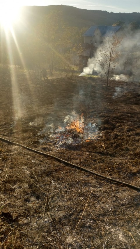 Sursa foto: ISU Argeș/ Foto cu rol ilustrativ