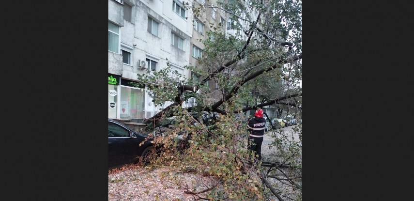 foto: ISU Delta Tulcea