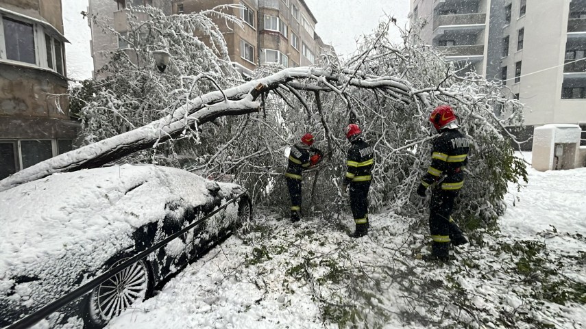 Sursă foto: ISU Delta