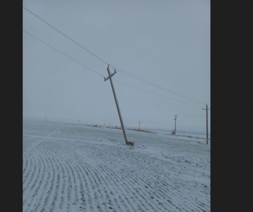 foto: Rețele Electrice Dobrogea