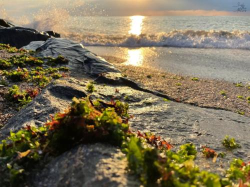 #ConstanțaEsteBine 11 decembrie 2023. Zi de lună „întunecată” sau lună vidă, o fază care precede luna nouă