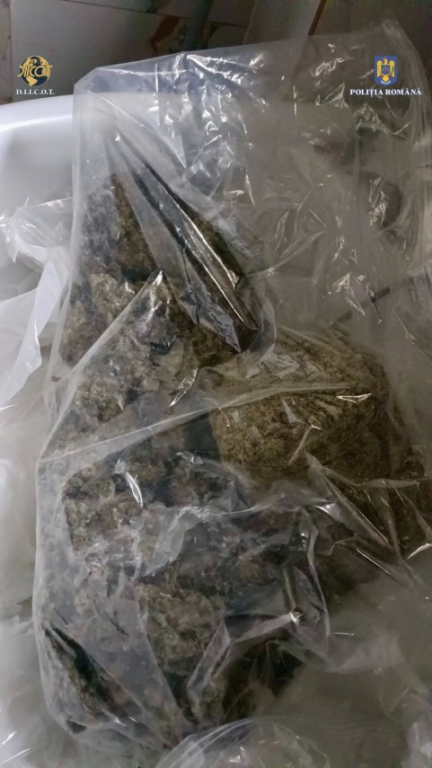 droiguri expedfiate din spania cu foirme de curierat doi suspecti retinuti de procurorii diicot galerie