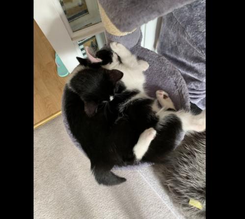 #ConstanțaEsteBine 13 decembrie 2023. Astăzi este despre ”locul meu” și Mercur retrograd 