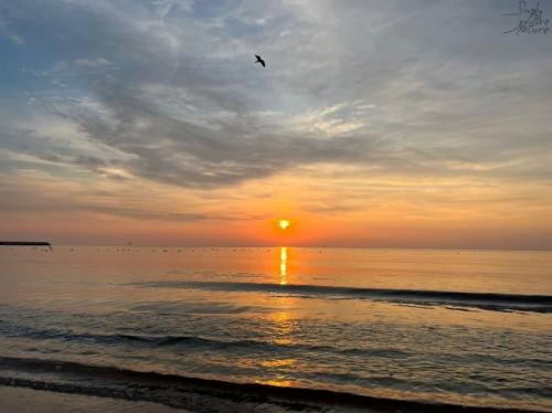 #ConstanțaEsteBine 18 decembrie 2023. Săptămâna dinainte de Crăciun.