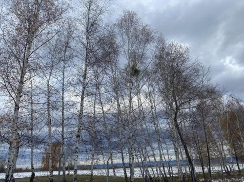 #ConstanțaEsteBine 19 decembrie 2023. Tranzitul retrograd al planetei Mercur a început pe 13 decembrie și va continua până pe 1 ianuarie 2024