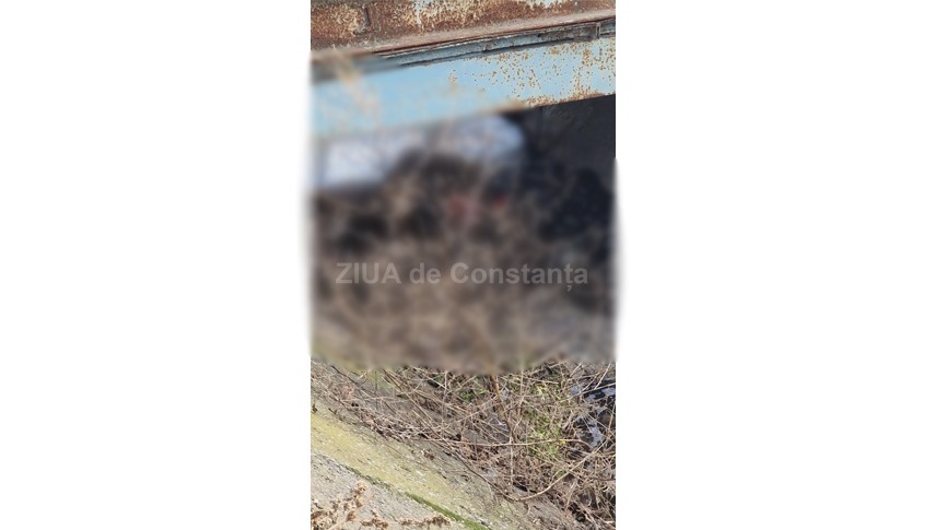 In Constanta:  Barbat gasit decedat, in Lazu, in derea (FOTO+VIDEO)       
