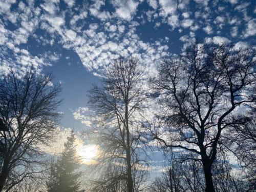 #ConstanțaEsteBine Valul 1 – ziua 9 Cât este de greu să-ți amintești să fii mereu recunoscător