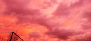 #ConstanțaEsteBine 7 ianuarie 2024. Valul 1 - ziua 11