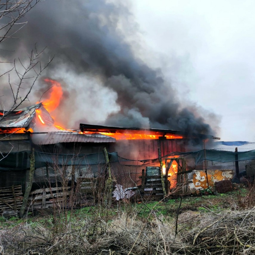 Sursă foto: ISU Giurgiu