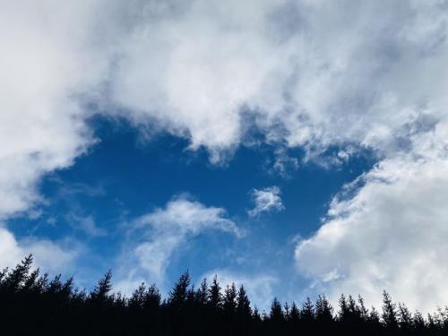 #ConstanțaEsteBine Valul 1 – ziua 12. 8 ianuarie 2024. Anul 2024 a început în plină forță