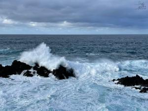 #ConstanțaEsteBine Valul 1, ziua 13. 9 ianuarie 2024. Natura intră în zona de iarnă, corpurile noastre necesită atenție, îngrijire și susținere