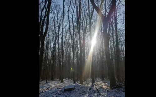 #ConstanțaEsteBine Valul 1 ziua 15 – luna nouă în Capricorn 11.1.2024 Suntem pe fundul valului tip scădere, eliminare, eliberare