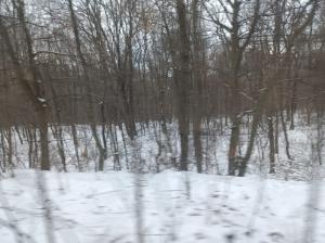 #ConstanțaEsteBine Valul1 – a doua parte - ziua 1. Luna în creștere 12 ianuarie 2024 – 25 ianuarie 2024