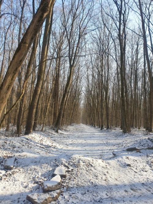 #ConstanțaEsteBine 14 ianuarie 2024. Valul 1 - partea a 2-a - ziua 3. Suntem în plină iarnă, cu energia lunii în creștere