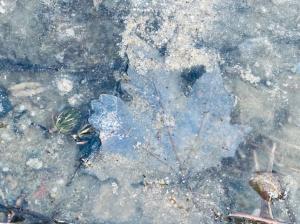 #ConstanțaEsteBine Valul 1 – partea a doua – ziua 4. 15 ianuarie 2024.Energia este de reținere, agățare, prindere și menținere