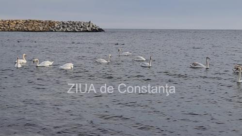 Vremea în Dobrogea în următoarele două săptămâni Perioada când vremea se va încălzi semnificativ, la malul mării 