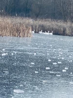 #ConstanțaEsteBine 17 ianuarie 2024. Valul 1 - partea a 2-a - ziua 6. Energia lunii continuă să crească, în ritmul în care ne îndreptăm spre luna plină, ce urmează pe 25 ianuarie