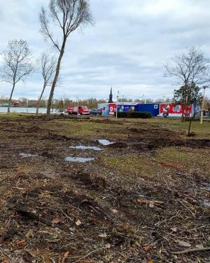 Stelian Ion (USR) „Ceea ce se întâmplă acum în Parcul Tăbăcărie este un real dezastru ecologic\