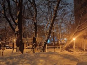 #ConstanțaEsteBine Valul 1 – partea a doua – ziua 12 23 ianuarie 2024 Presiunea energiei lunare s-a intensificat mult