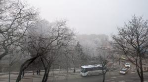 Cod galben de ceață la Constanța!