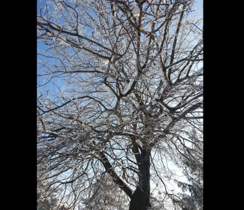 #ConstanțaEsteBine Valul 1 – partea a doua – ziua 13. 24 ianuarie 2024. Energia crește și se intensifică.