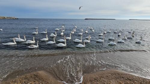 Vreme în încălzire în weekend la Constanța! Prognoza meteo pentru următoarele zile 