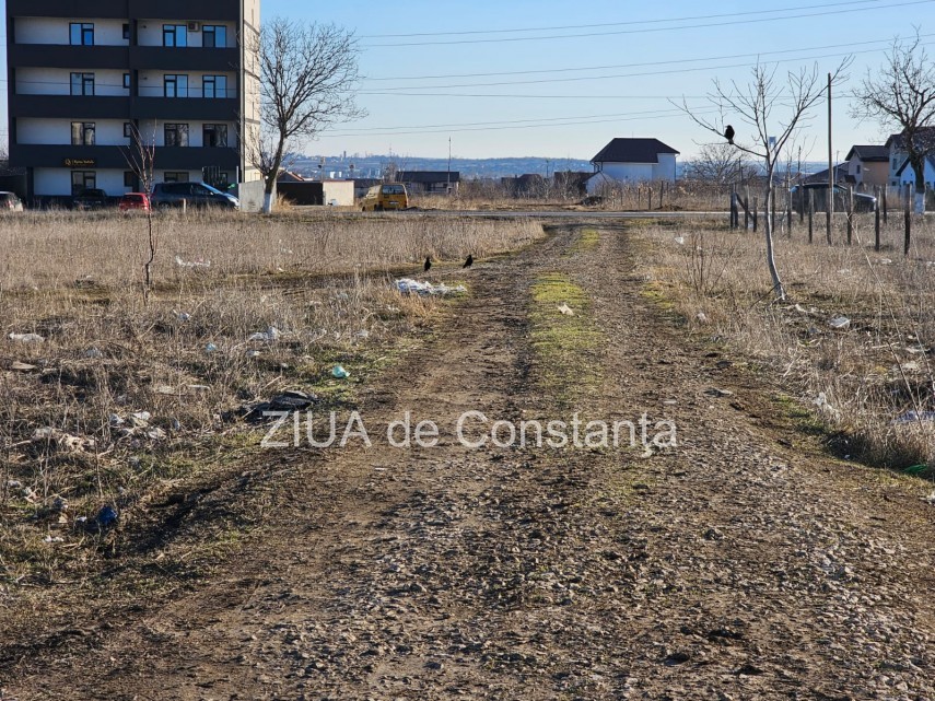 documente primaria constanta asfalteaza de urgenta in an electoral cartierul veterani 3 3 milioane euro