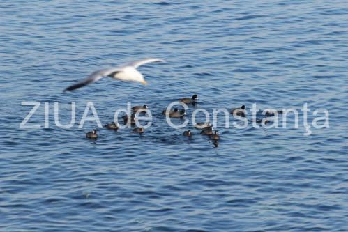 Schimbări în Dobrogea. Ce aduce prognoza meteo pentru zilele următoare?