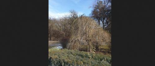 #ConstanțaEsteBine Valul 2 de energie – partea întâi – ziua 10 4 februarie 2024 Zi de duminică, cu prezență și conexiune interioară profundă