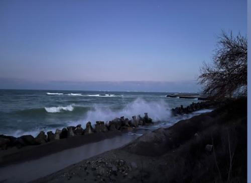 #ConstanțaEsteBine Valul 2 de energie – partea întâi - ziua 11. 5 februarie 2024. Începem o săptămână intensă 