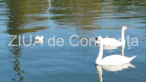 Meteo Constanța Vremea la malul mării în intervalul 08 -10 februarie 