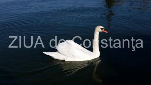 Prognoza meteo pentru Dobrogea. Ce vreme ne așteaptă în zilele următoare?